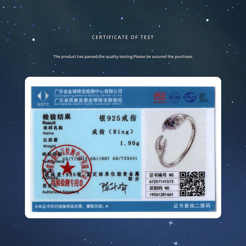 Personalized Retro Constellation Open Ring For Men And Women S925 Sterling Silver Charm Constellation Ring Jewelry