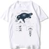 Whale Shark Anatomy Biology Tshirt Unisex Women Hip Hop Casual T Shirts Women Beach Diving White Tshirt Vintage Women Tees