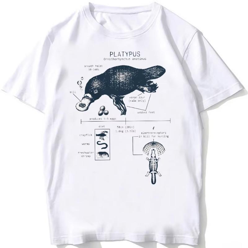 Whale Shark Anatomy Biology Tshirt Unisex Women Hip Hop Casual T Shirts Women Beach Diving White Tshirt Vintage Women Tees