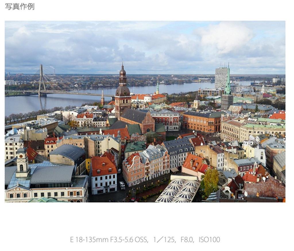 Sony E OSS Zoom Lens for Sony Format 18-135mm F3.5-5.6 High-Power E-Mount APS-C (SEL18135)