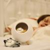 Dream Cat Night Lamp Desk Light USB Rechargable Battery For Girl Kids Gift Bedroom Luminar Room Decorate Dropshipping