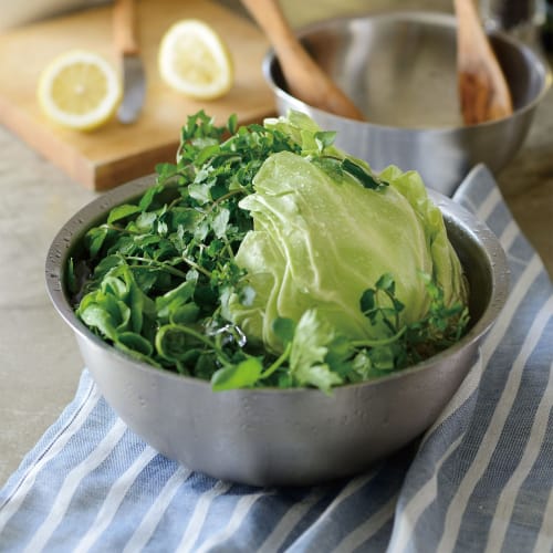 La base Tsubame-Sanjo Stainless Steel Bowl & Plate Set (Small, 2-Piece Set) Made in Japan by Yoko Arimoto (DME-6750)