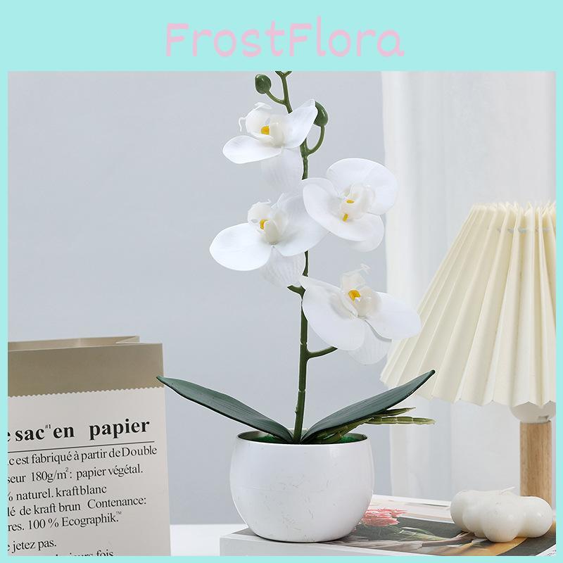 Durable Plastic Butterfly Orchid Fake Plant With Textured Finish For Celebrations And Photo Shoots