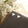 Simple Matte Simple Triangle Geometric Earrings for Women