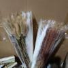 Whisk Rabbit Tail Grass Dried Flower Bouquet - Natural Pampas Grass & Small Reed
