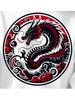 Traditional Chinese Dragon Totem Circle Printing Plus Both Arms Star Tribal Pattern Mens Hoodie, Hip Hop Sports Outdoor Streetwear Comfort Sweatshirt