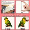 Cute Parrot 2D Acrylic Keychain, Decorative Hanging Charm for All Events & Holidays, Ideal Gift Choice