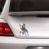 British Bulldog Car Sticker Vinyl Decal Waterproof Rear Window Motorcycle Camper Bumper Truck Laptop Decoration TM366