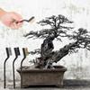 6PCS Metal and Plastic Construction Industrial Wire Brushes Curved Rust Remover Brush  Bonsai Brush