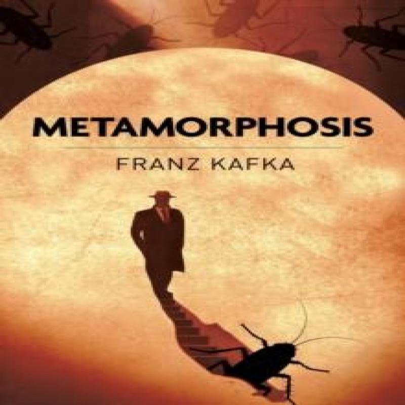 Metamorphosis by Franz Kafka Paperback Book 9781398862081