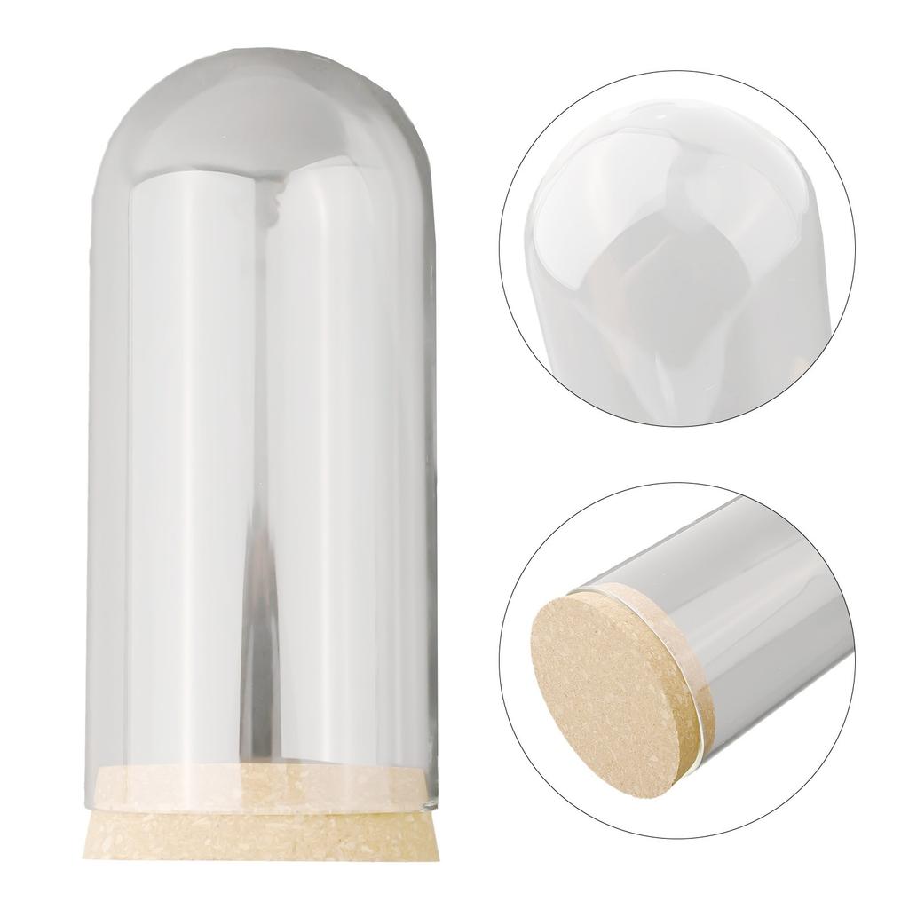 Glass Display Cloche Bell Jar Dome Flower Preservation Cover Wood Base DIY