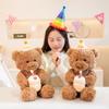 40cm/55cm Lovely Birthday Bear Plush Toys Soft Fluffy Sitting Brown Bear Doll Holding Cake Kawaii Room Decor Nice Gift To Kids