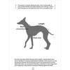 Autumn and Winter Cashmere Belly Four-legged Clothing Fabric Soft and Warm Little Greyhound Whippet Bellington Terrier Clothes