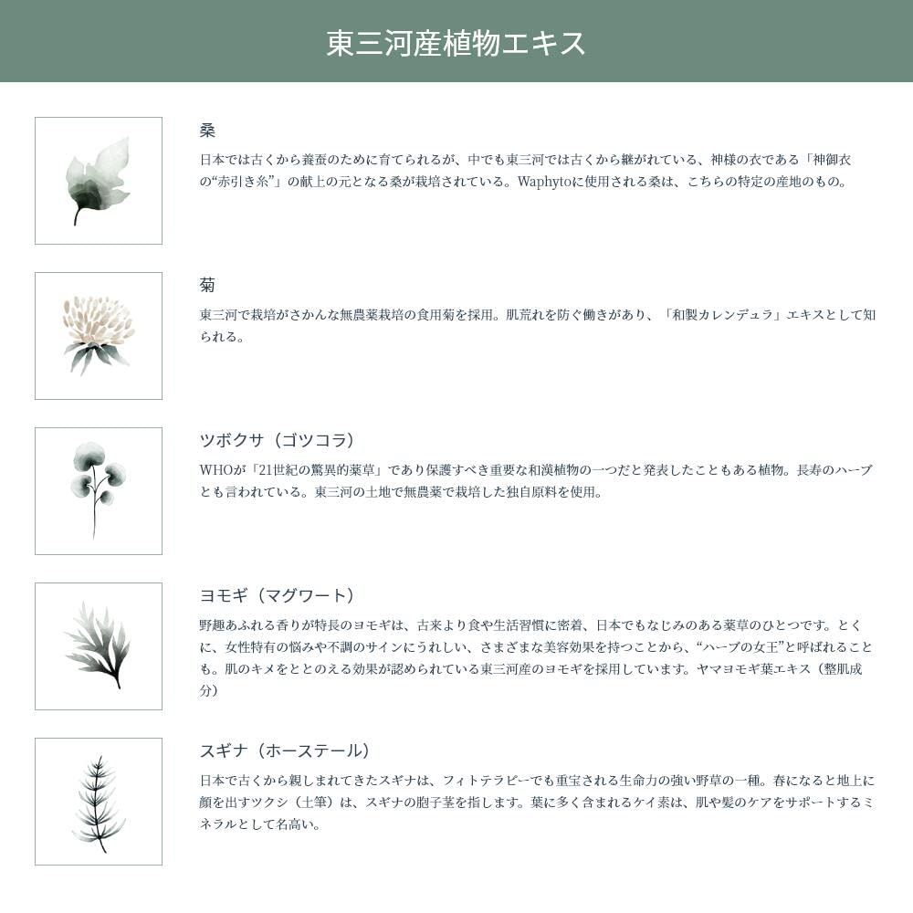 Official Waphyto Hand Cream Balance 40g
