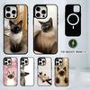 S-Siamese Cat Cute Phone Case For iPhone17,16,15,14,13,12,11 Plus,Pro Magnetic with Magsafe Wireless Charging