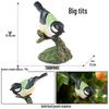 Realistic Bird Figurines Set: Eagle, Parrot, Peacock, Flamingo, and Owl