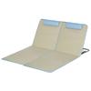 Set mit 2 Strandmatten, verstellbar, faltbar, 124L x 53B x 37-50H cm, Beige