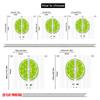 2pcs 2D Flat Printing Party Curtain Fresh Lime Slice Fabric Without Electricity All Season Party & Holiday Decor for Holiday