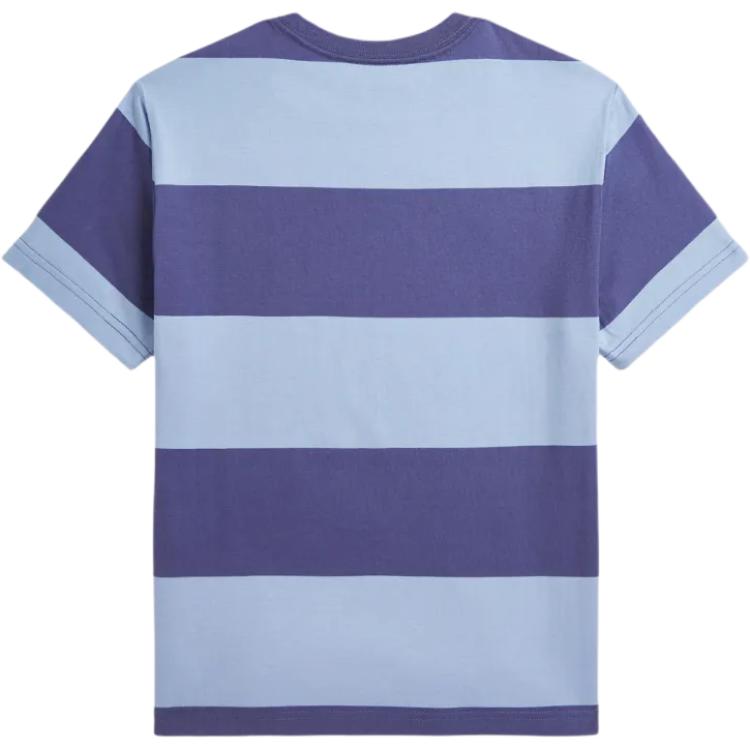 Polo Ralph Lauren Striped Crew Neck Short Sleeve T-Shirt Kids Tops Light-Blue 323971158-001