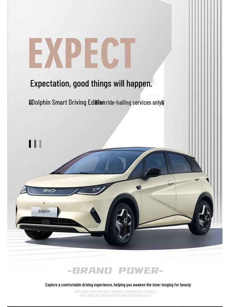 2025 BYD Dolphin Intelligent Driving Seat Covers - All-Season Universal Full Coverage Cushions