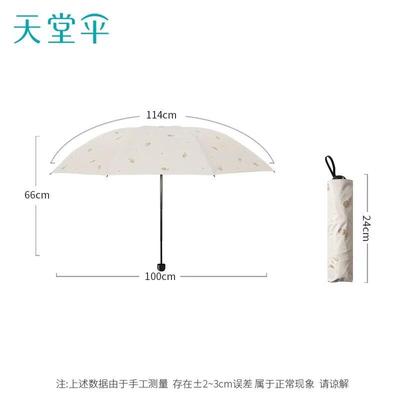 Accessoires – Regenschirme