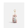 Kpop Idol Lee Chan Same Otter Plush Keychain Adorable Sea Otter Holding Fish Stuffed Doll Backpack Bag Hanging Charm