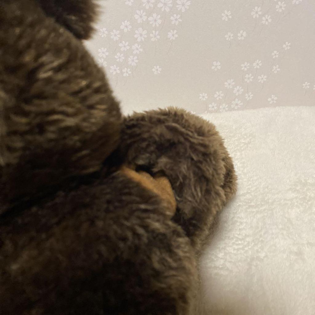 [USED] Bear, stuffed animal, puppet, teddy bear, bear, teddy bear