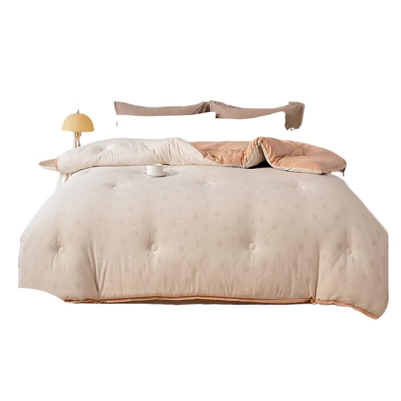 

PLOVER ZMN-DB015 Cloud Fluffy Winter Quilt