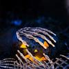 Halloween Scary Skeleton Hand Claw Prop Bone Hand Ornament Haunted House Bar Decoration Prank Horror Party Display