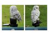 Solar-Powered Owl and Parrot Resin Stake Lights for Outdoor Garden Decoration
