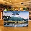 Little Mammoth Earth Children's Hardcover Book