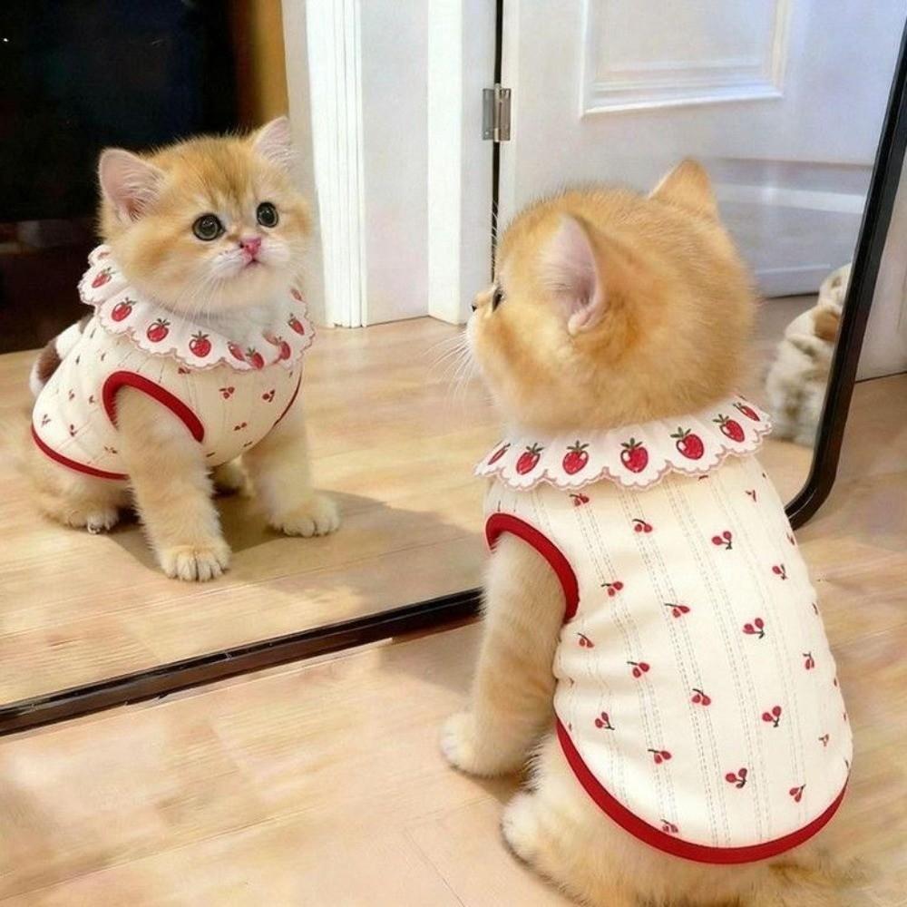 Cherry Pattern Cat Strawberry Vest Breathable Summer Pet Clothes Cat Lace Vest Photo Shoots