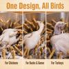 50Pcs Large Elasticity Chicken Plucker Fingers Soft Texture Feather Picking Fingers  Geese