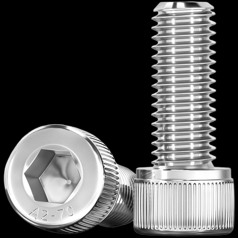 Yonggu M6x65mm Hex Socket Stainless Steel Screw