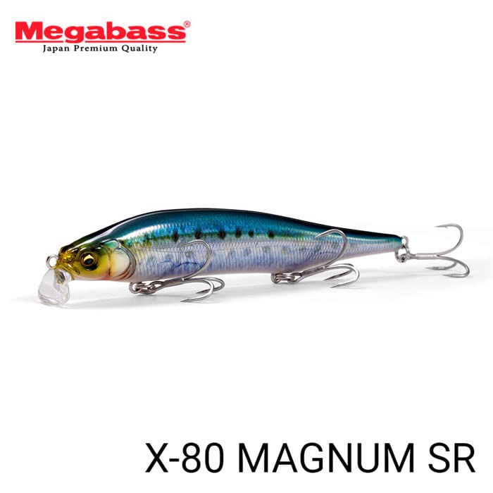 Megabass Seabass Lure MAGNUM SR GP Sunrise Bone X-80 (SP-C)
