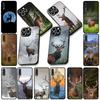 Soft Cover for Apple iPhone 17 16 14 15 Pro Max Plus 15+ 16E XR ProMax Air 16+ Coque Phone Case Deer Wild Hunting Buck