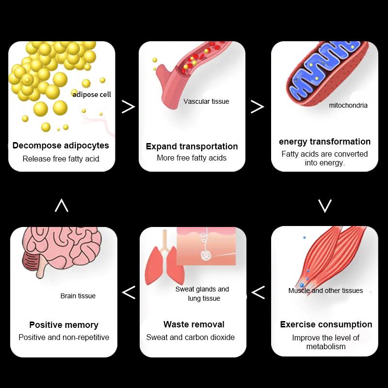 Body Sculpting Heat Cream Slimming Body Firming Fat Reducing Sweat Cream Fitness Enhancer
