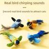 Interactive Cat Toys Plush Flying Bird Squeak Cat Toy Sparrow Catnip Vivid Chirping Simulation Bird Interactive Feather Pet Toys