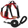 Reflective Dog Harness and Leash Set