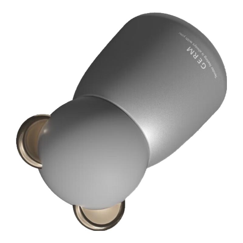 Germ 316 Stainless Steel Insulated Bottle