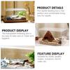 POPETPOP Reptile Case, Transparent Reptile Cage, Breeding Container for Small Animals, Turtles, and Amphibians, 25x15x15cm