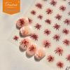 Tomoni Japanese Capybara Nail Art Stickers - Durable & Fun DIY Nail Stickers for Kids