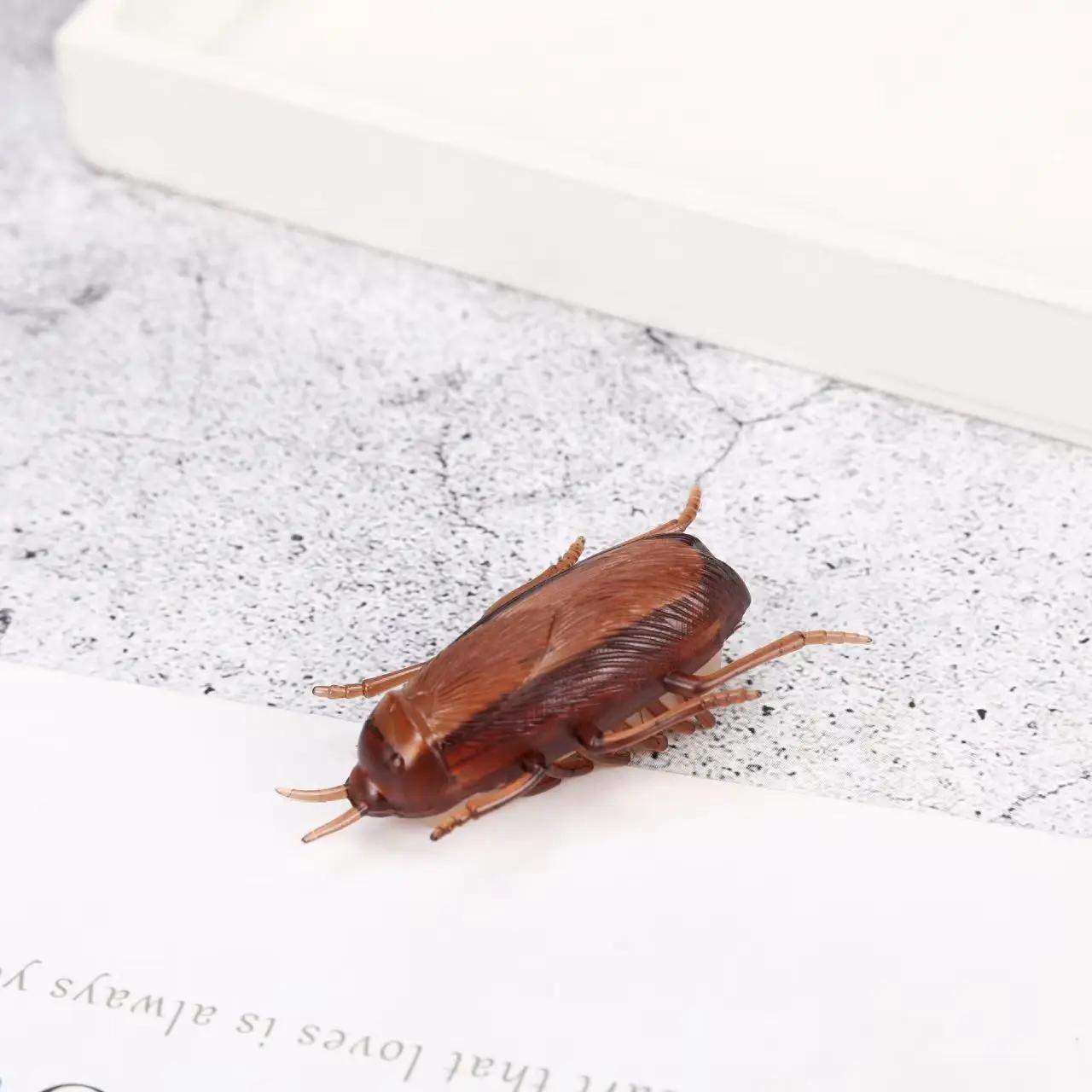 

Novel Interesting Electric Simulated Cockroach Toy Crawling Prank Interactive Training Game For Cats Dogs Funny Novelty Pet Toy OneSize