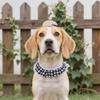 Veranda Haustier Hunde Gartenornamente Bekleidungsset
