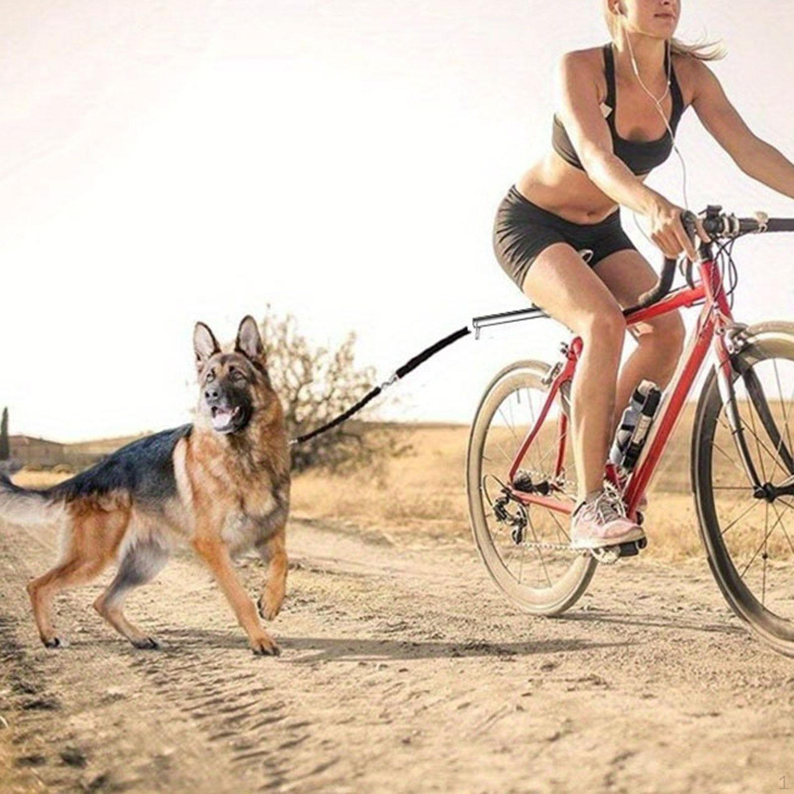 

Dog Leash Cycling Walking Accessory Sturdy High Performance Attachment Holder for Running