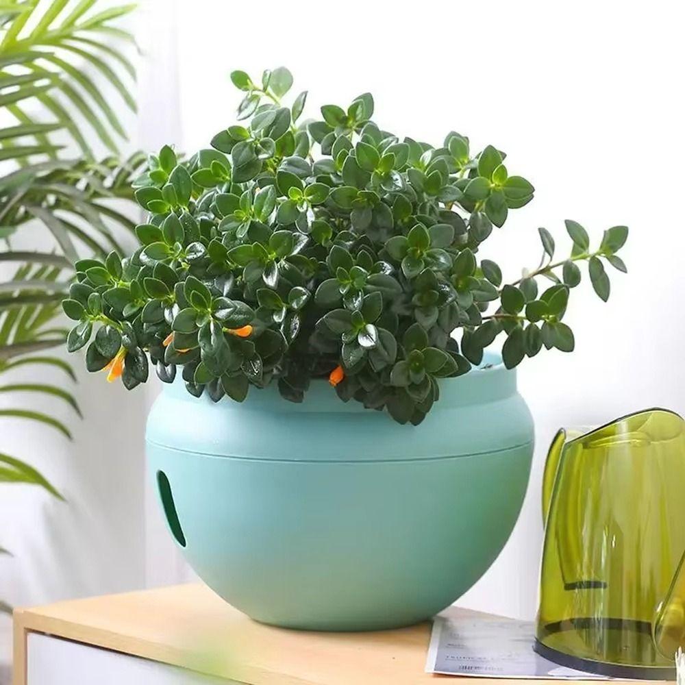 Self Absorbing Water Bowl-Shaped Flower Pot Plastic Water Storage Planter Climbing Houseplants