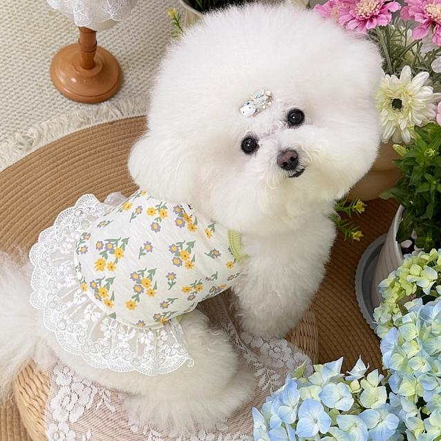 Summer Cat and Dog Clothes Are Highly Elastic and Breathable. Pet Cat Halter Dresses and Teddy Bichon Frises