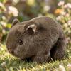 18cm Simulated Guinea Pig Doll Soft Brown White Standing Wild Animal Small Plushie Man Gift