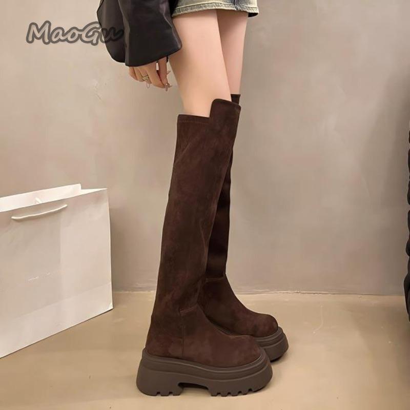 Suede Brown Women's Thigh High Boots Height Increasing Anti-slip High Heel Vintage Over-the-Knee Boots for Women Botas Mujer