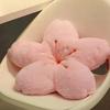 Pink Plush Pillow Cherry Blossom Floor Seat Cushion Kawaii Tatami Cushion  Photo Decorations